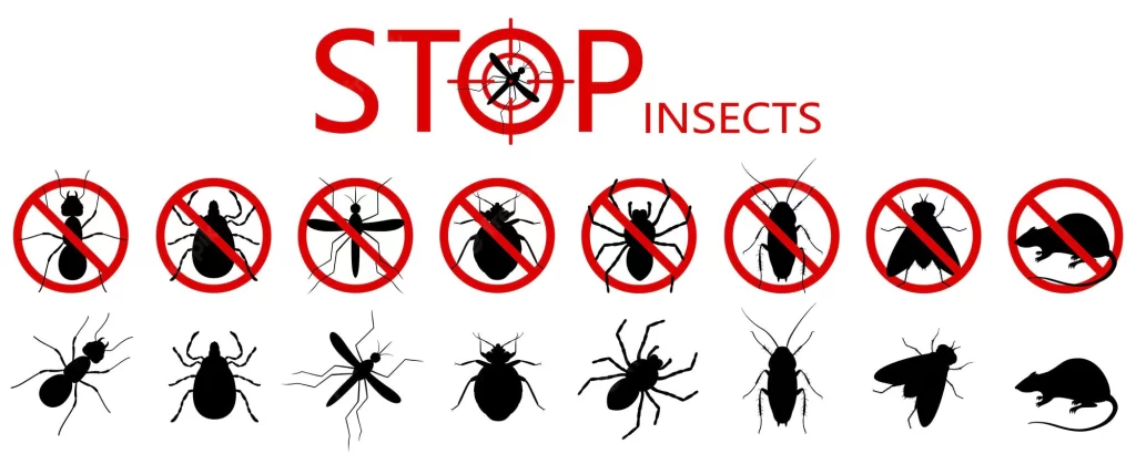 Termite Pest Control services |Starlink Pest Control Services