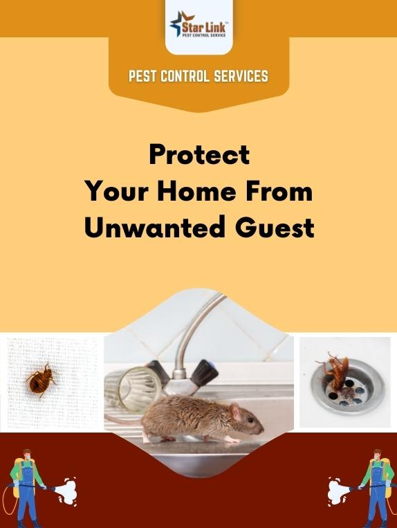 Star Link Pest Control |Pest Control Services